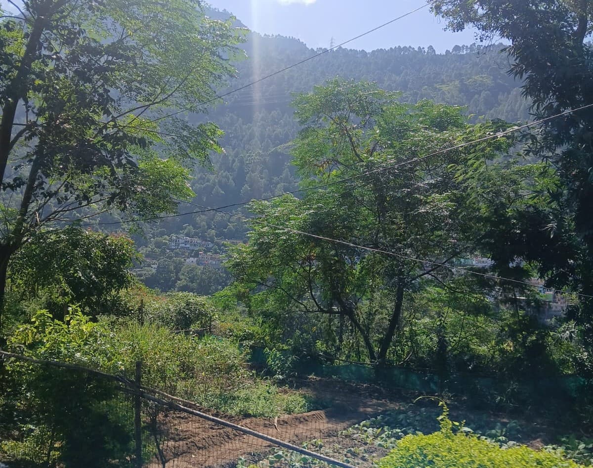 HNBGU Campus photo 4